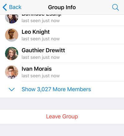 Schermata dei membri del gruppo con la lista membri compressa.