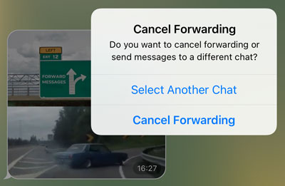 Choose a different chat or cancel forwarding